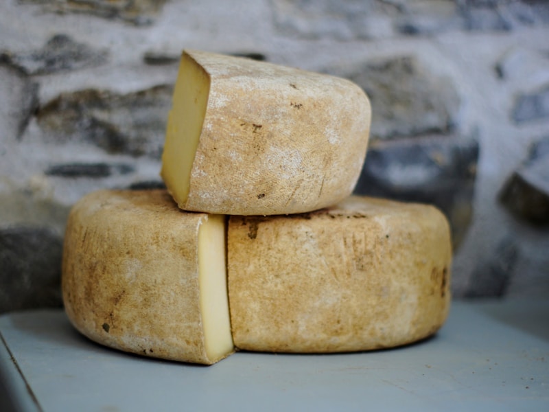 Vegan Macadamia Cream Cheese